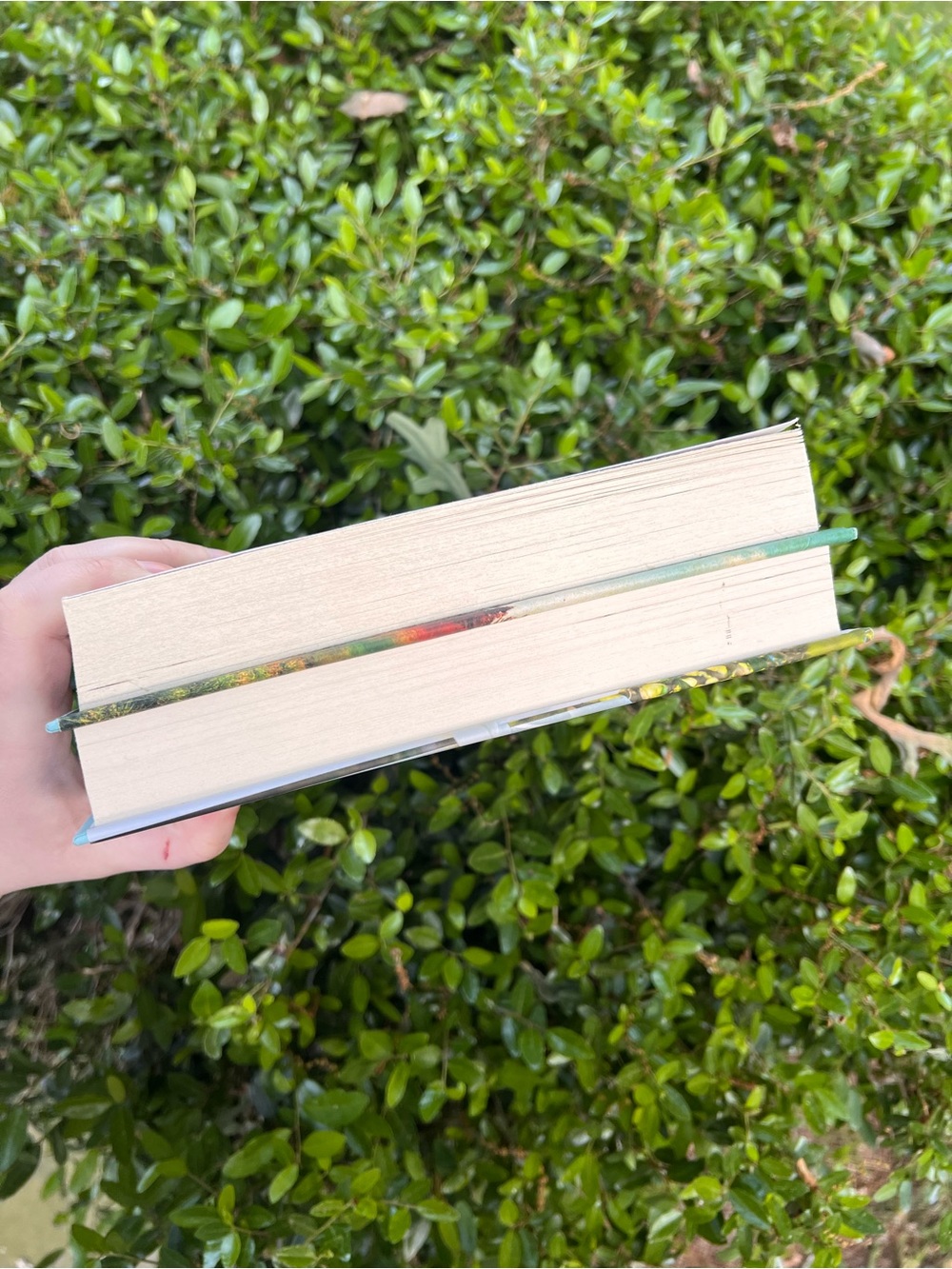 Nicholas Sparks Paperback Book Set - Picture 3 of 5